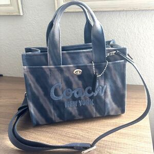 Coach Tie Die Cargo Bag 26